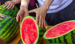 无人区吃瓜爆料免费,吃瓜爆料背后的真实故事